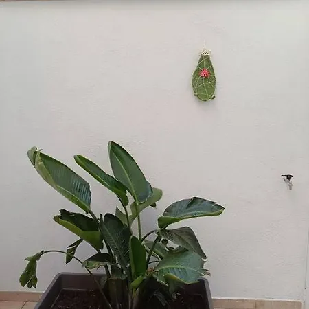 Magia 114 Apartment *