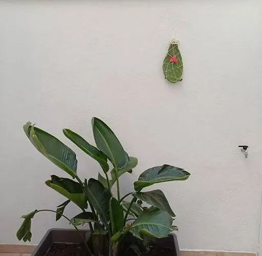 Magia 114 Apartment *